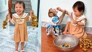 Дием почистила плод лонгана для обезьянки Кака, и они оба были очень рады.