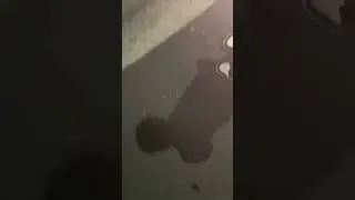 ASMR ￼