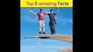 Top 5 Amazing Facts in Urdu 🤯🧠 | Interesting Facts Random Facts | #shorts #facts
