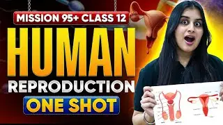 Class 12 Biology🌸Human Reproduction in Flowering Plants One Shot |  Dr Chelsy Mission 95+ #class12