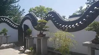THE 20-140 YEARS OLD BONSAI IN MOON GATE at CHINESE GARDEN IN BOTANICAL GARDEN OF MONTREAL QUEBEC🇨🇦4