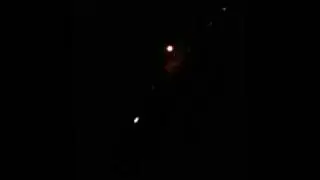Creepy bats at night