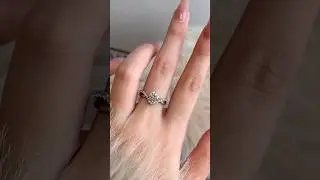 ✨ 