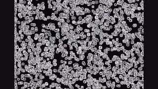 Ginnungagap (The Yawning Void)   Nigel Pennick 2014