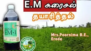E.M. கரைசல் தயாரித்தல்🌿Mrs. பூர்ணிமா B.E.,