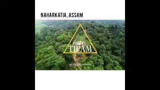 NAHARKATIA ⚡ASSAM⚡new status# Rahul tanti  official#