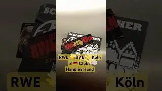 @RotWeissEssen1907 🤝@BVB 🤝@fckoeln  #bundesliga #bundesliga #fanculture