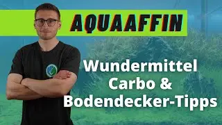 Carbo-Dünger als Wundermittel & Tipps für schöne Bodendecker - AquaAffin #86
