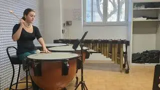 Provino orchestra regionale 