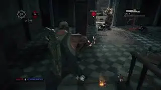 (18.11.25) Gears Of War Reloaded // A seguir destrozando locust... // 🐶🤕🎮🤐🔥