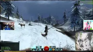 Guild Wars 2 - Ultra Settings
