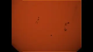 Huge sunspots through telescope - June 2024