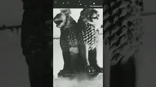 Old vs New National Emblem of India 2022 #shorts  Video #2022status