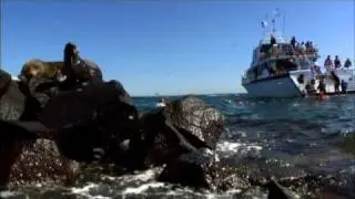 Bayplay - Activities in Port Phillip Bay!