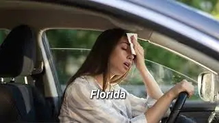 Beat the Florida Heat with Expert Auto AC Repair 6.1 Auto AC Repair