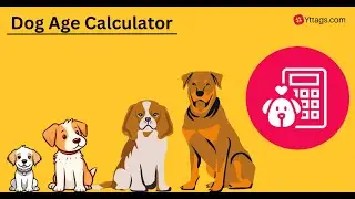 Dog Age Calculator | How to Calculate Dog Years to Human Years?