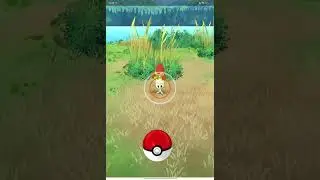 Morelull Shiny Easy To Caught 😱 Wild Spawn PokemonGo #pokemon #pokemongo