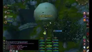 Executie lvl 70 Warrior PvP