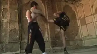 The most uncanny Bruce Lee 