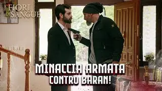 Baran ha estratto la sua arma! | Sottotitolato in italiano | Kan Cicekleri