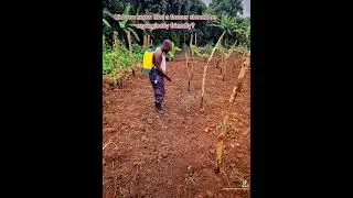 A farmer should be ecologically friendly.#SustainableLiving #Eco #PlanetFriendly #GoGreenNow