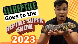 Reptile super show ANAHEIM 2023