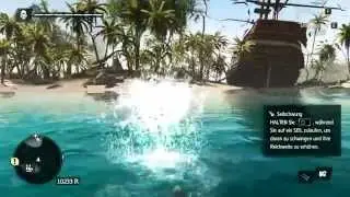 AC4 Black Flag Schatzkarte Abaco Island