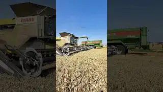 Unloading the CLAAS 8900 lexion combine harvester into the Bergmann chaser bin with CLAAS 960 TT