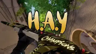 H.A.Y (Valorant Montage)
