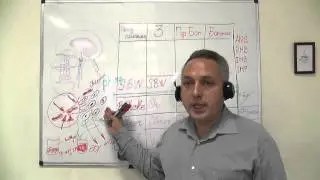 Принципы действия Bionic Water, Bionic Shake, Bionic Gel, Bionic Nano Patch. Имовины