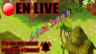 🔴DOFUS RETRO: début du farm donjon kitsou! adieu l'énergie des sadis!