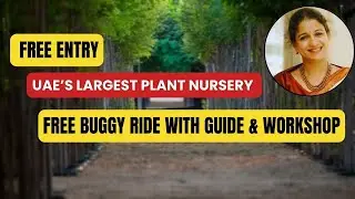 Питомник Shajar Nursery Sharjah – уникальный способ соприкоснуться с природой / Посадите своё дерево