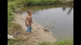 Single Mom Catches Stream Fish to Feed and Support Her Kids