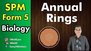Annual Rings - SPM Form 5 Biology - Chapter 1
