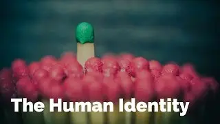 The Human Identity | Bible Basics for New Believers #5