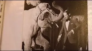 3. Circus Piste