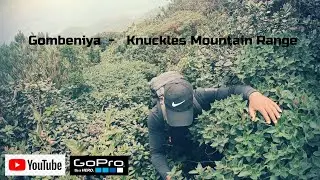 Gombeniya | Knuckles Mountain Range | Travel Vlog 5 | Freedom Traveller