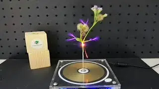 Tesla Coil vs Flame flower⚡🔥Music Tesla Coil experiment #teslacoil #plant #danger #fire