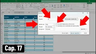 Conoce el Buscar y Reemplazar en Excel: todas sus opciones al detalle 🔍