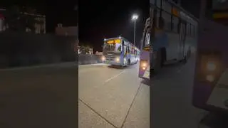 BMTC New BS6 Diesel vs Switch EV bus #bmtc #ksrtc #tnstc #bengaluru #bangalore #bus #govtbus #travel