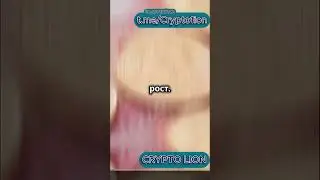 Когда ожидается рост биткоина?Short #shorts  #криптовалюта #bitcoin #crypto #инвестиции #крипто #btc