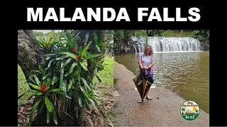 Malanda Falls Caravan Park - overnight on the way to Cooktown