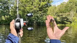 Catching Bass with Confidence