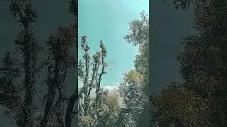 #viral #ytshorts #trending #superhit #new video #vlog #mini vlog #entertain #fun #facts #only for u