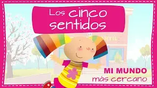 Proyecto Los sentidos - 3 años