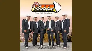 Palillos chinos