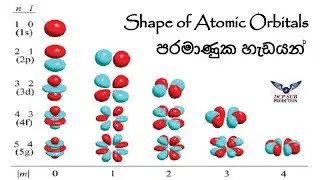 අණු වල ව්‍යුහ සහ හැඩ හඳුනාගනිමු