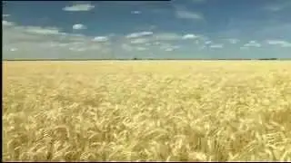 Australian Flavour