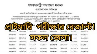 #Dpe #Result Primary exam result 2020