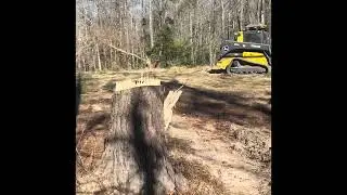 Starting of 2026 right with more progress on the property.